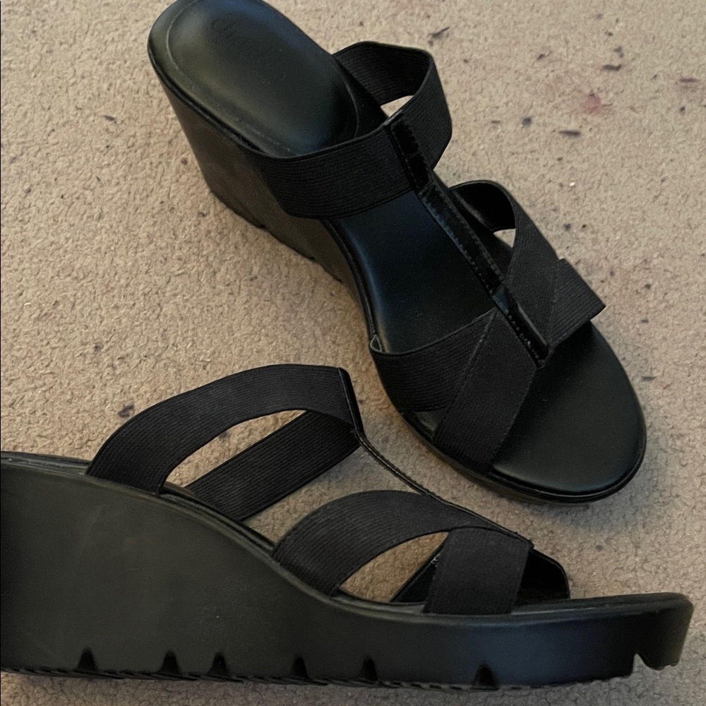 Charles by Charles David Black Wedge Sandals